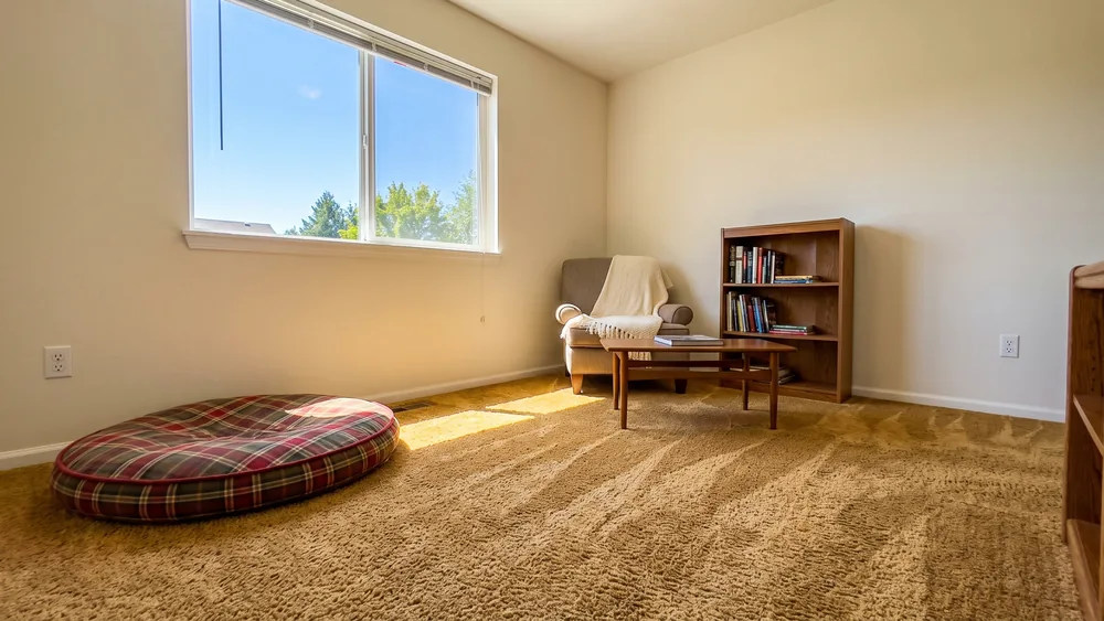 Freshly cleaned carpet in a bright room